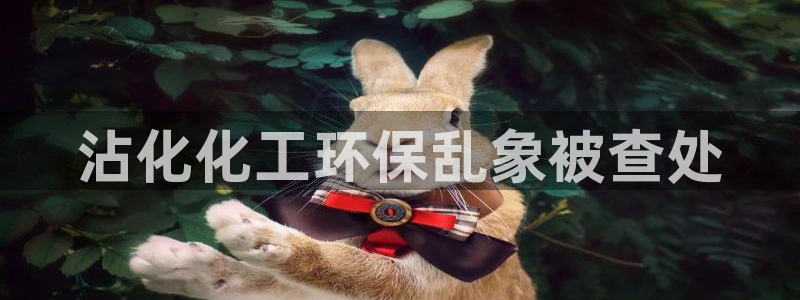 亿万先生mr008cc官网：沾化化工环保乱象被查处