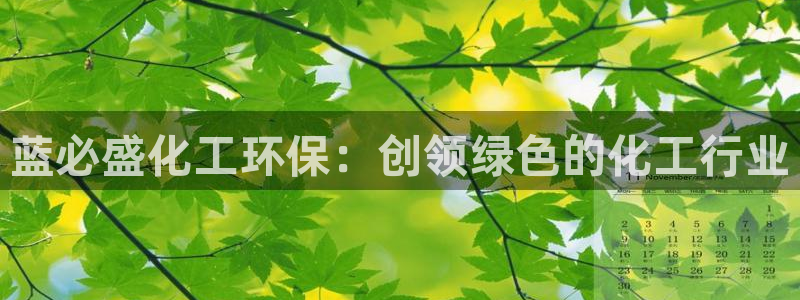 亿万先生手机版：蓝必盛化工环保：创领绿色的化工行业