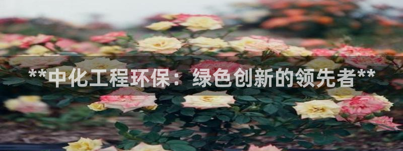 亿万财富网：**中化工程环保：绿色创新的领先者**