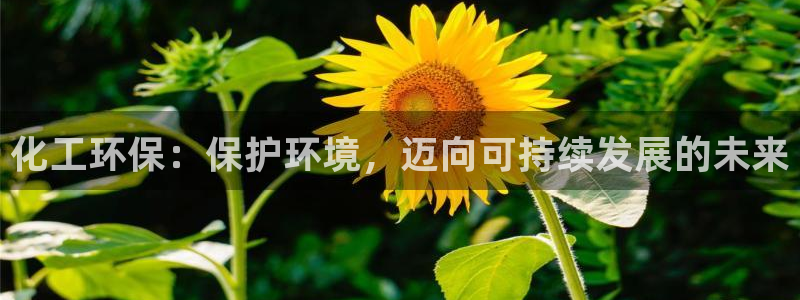 亿万先生客服：化工环保：保护环境，迈向可持续发展的未来