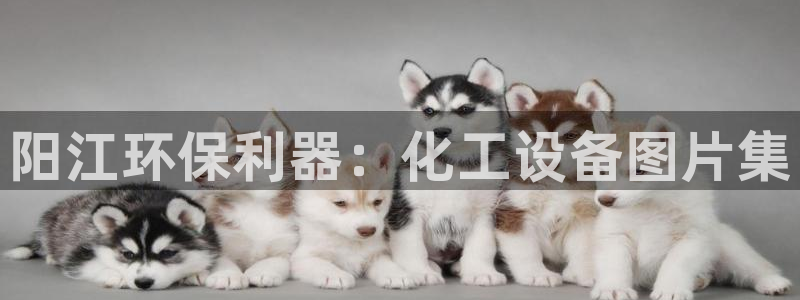亿万第一季解说：阳江环保利器：化工设备图片集