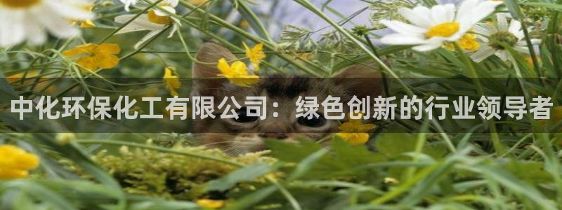 亿万网友在线解答：中化环保化工有限公司：绿色创新的行业领导者