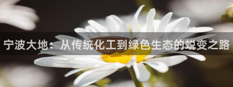 亿万手游官网：宁波大地：从传统化工到绿色生态的蜕变之路