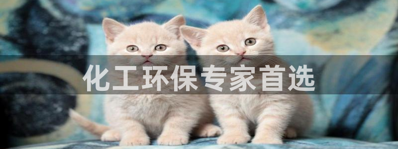 亿万的亿：化工环保专家首选