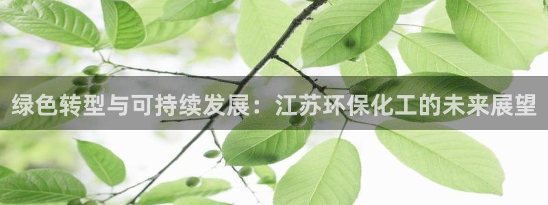 亿万先生手机版：绿色转型与可持续发展：江苏环保化工的未来展望