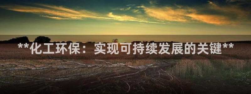 亿万先生客服：**化工环保：实现可持续发展的关键**
