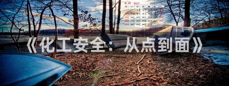 亿万先生合并网址是多少：《化工安全：从点到面》