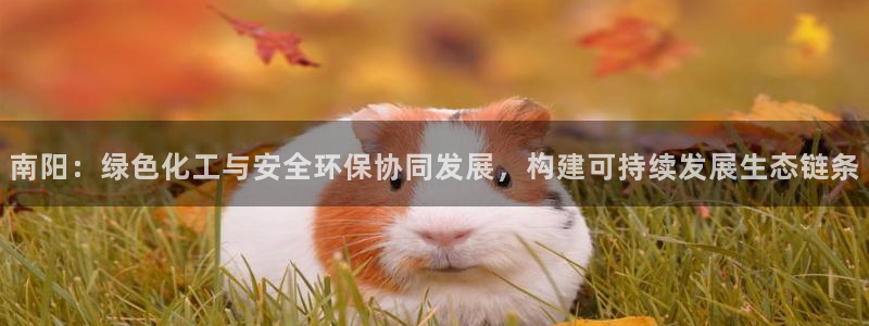 亿万 下载：南阳：绿色化工与安全环保协同发展，构建可持续发展生态链条