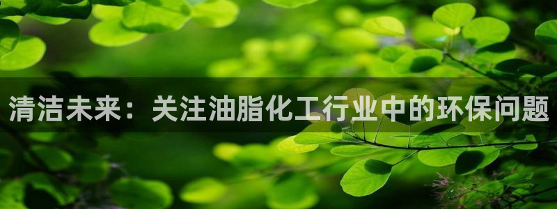 亿万购平台最新消息：清洁未来：关注油脂化工行业中的环保问题