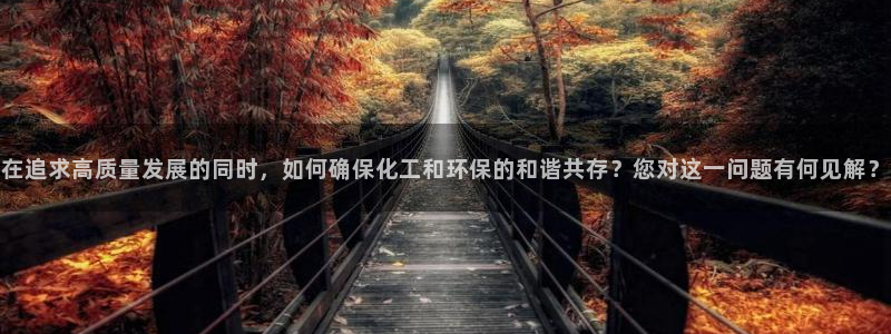亿万先生：在追求高质量发展的同时，如何确保化工和环保的和谐共存？您对这一问题有何见解？