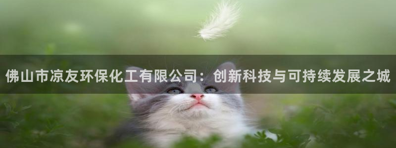 亿万网络科技有限公司：佛山市凉友环保化工有限公司：创新科技与可持续发展之城