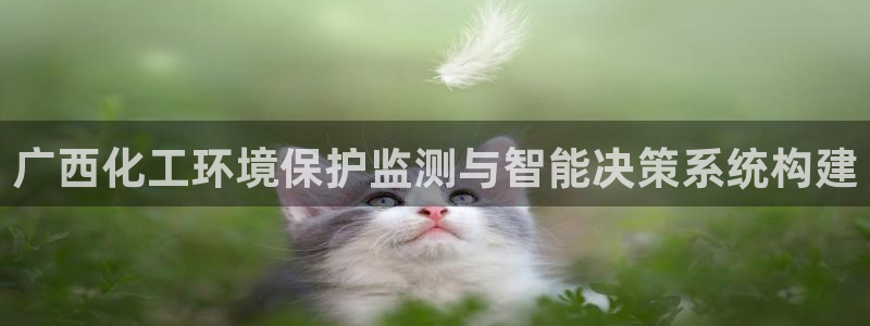 亿万的亿：广西化工环境保护监测与智能决策系统构建