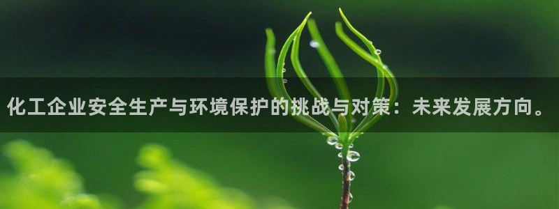 亿万先生网站：化工企业安全生产与环境保护的挑战与对策：未来发展方向。