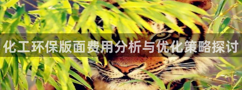 亿万先生网红：化工环保版面费用分析与优化策略探讨