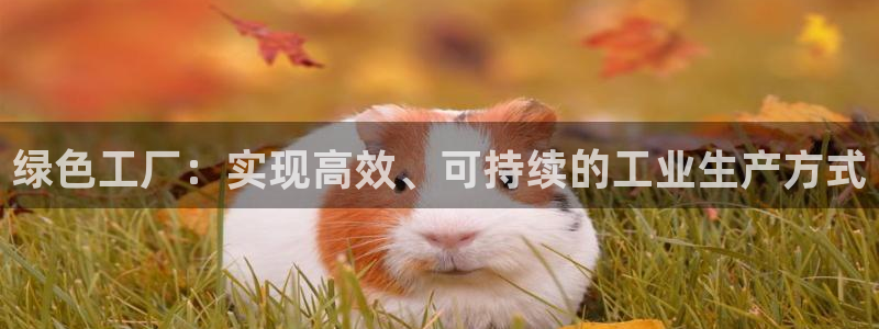 亿万网友在线解答：绿色工厂：实现高效、可持续的工业生产方式