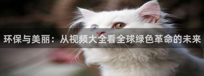 亿万先生mr07：环保与美丽：从视频大全看全球绿色革命的未来