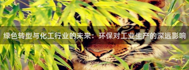 亿万解析：绿色转型与化工行业的未来：环保对工业生产的深远影响