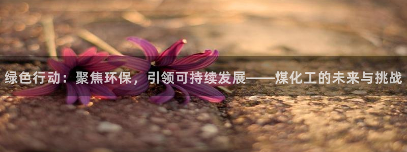 亿万先生mr01官网 - 亿万先生手机版入：绿色行动：聚焦环保，引领可持续发展——煤化工的未来与挑战