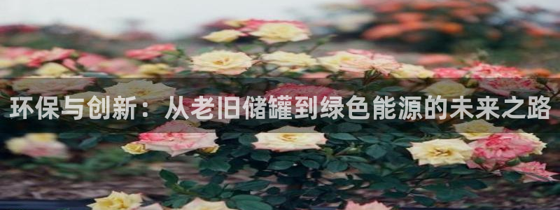 亿万剧情详解：环保与创新：从老旧储罐到绿色能源的未来之路