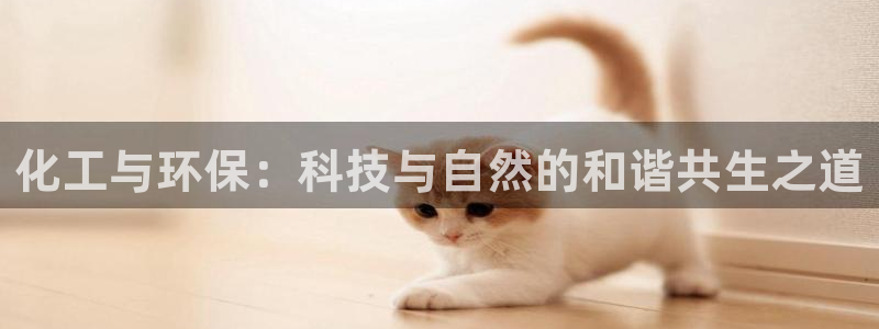 亿万讲了什么