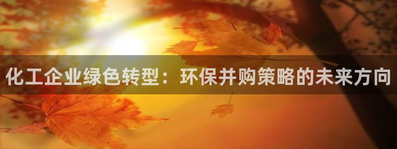 亿万手游平台官网：化工企业绿色转型：环保并购策略的未来方向
