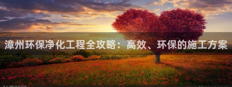 亿万先生官方网站客户端下载安装手机版：漳州环保净化工程全攻略：高效、环保的施工方案