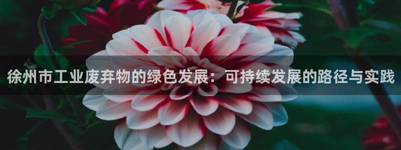 亿万先生网页版：徐州市工业废弃物的绿色发展：可持续发展的路径与实践