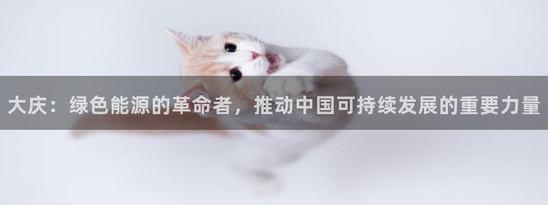 亿万先生现在的网址谁知道：大庆：绿色能源的革命者，推动中国可持续发展的重要力量