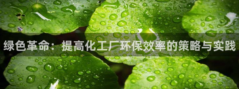 亿万先生客户端：绿色革命：提高化工厂环保效率的策略与实践