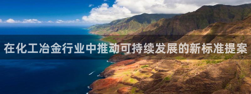 亿万笞人：在化工冶金行业中推动可持续发展的新标准提案