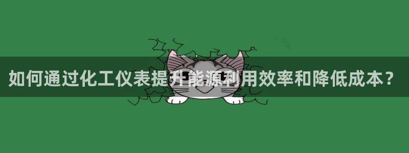 亿万贴吧：如何通过化工仪表提升能源利用效率和降低成本？