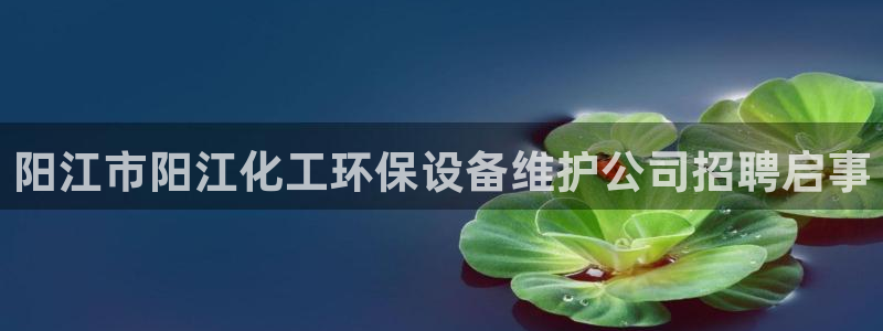 亿万先生官方网站首页：阳江市阳江化工环保设备维护公司招聘启事
