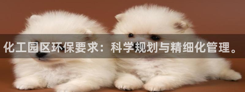 亿万先生网址生：化工园区环保要求：科学规划与精细化管理。