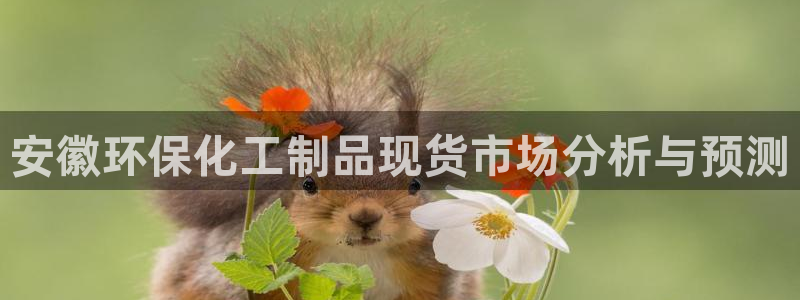 亿万先生游戏平台网址：安徽环保化工制品现货市场分析与预测