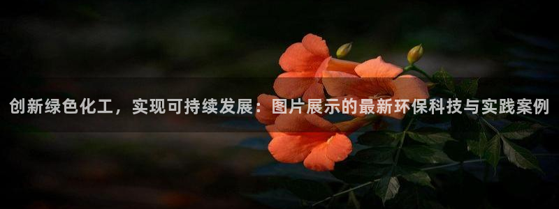 亿万百度百科官网：创新绿色化工，实现可持续发展：图片展示的最新环保科技与实践案例