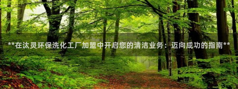 亿万网红：**在汰灵环保洗化工厂加盟中开启您的清洁业务：迈向成功的指南**