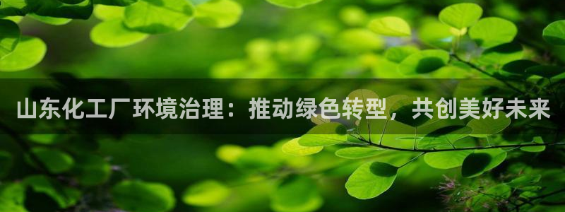 亿万先生手机版入口在哪：山东化工厂环境治理：推动绿色转型，共创美好未来