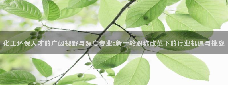 亿万先生 菲律宾：化工环保人才的广阔视野与深度专业:新一轮职称改革下的行业机遇与挑战