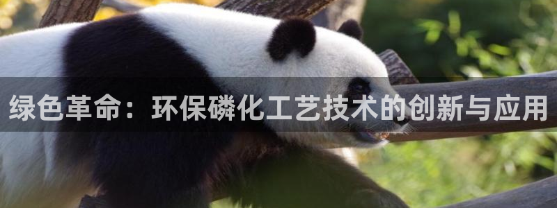亿万先生官方客服电话：绿色革命：环保磷化工艺技术的创新与应用