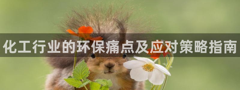 亿万手游平台官网下载：化工行业的环保痛点及应对策略指南
