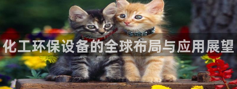 mr8001亿万先生：化工环保设备的全球布局与应用展望