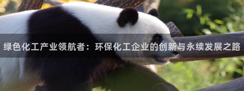 亿万官网手机登录：绿色化工产业领航者：环保化工企业的创新与永续发展之路