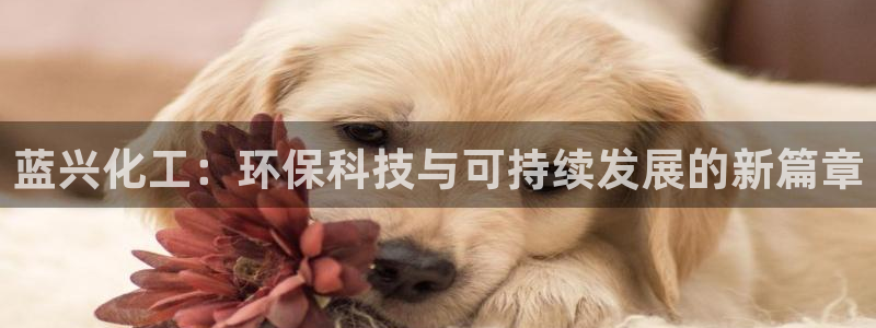 亿万先生官方网站客户端下载安装：蓝兴化工：环保科技与可持续发展的新篇章