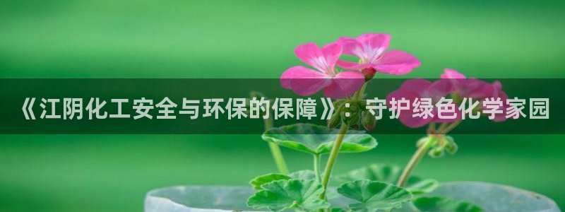 亿万先生：《江阴化工安全与环保的保障》：守护绿色化学家园