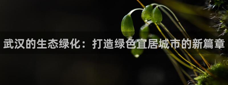 亿万先生mr07官网：武汉的生态绿化：打造绿色宜居城市的新篇章