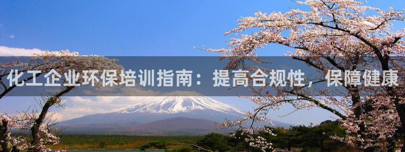 亿万先生是男是女：化工企业环保培训指南：提高合规性，保障健康